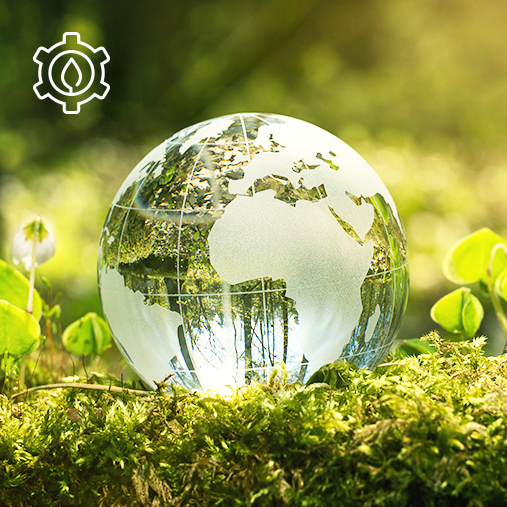 Representative image of eco-management