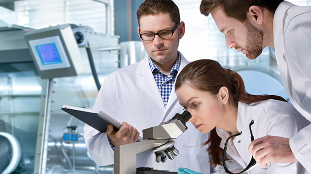 Click to download PDF document file 