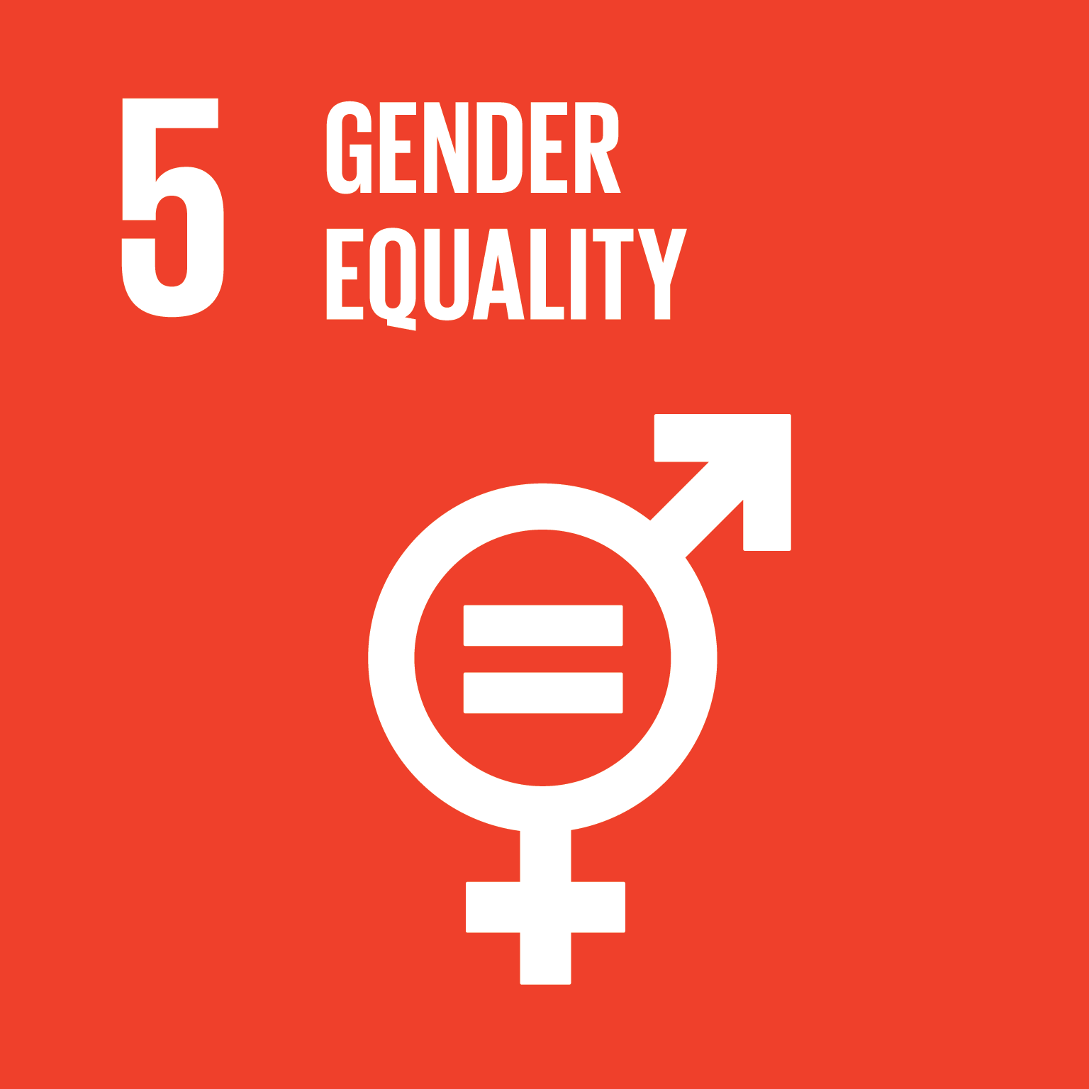 Representative image of SDG gender equality