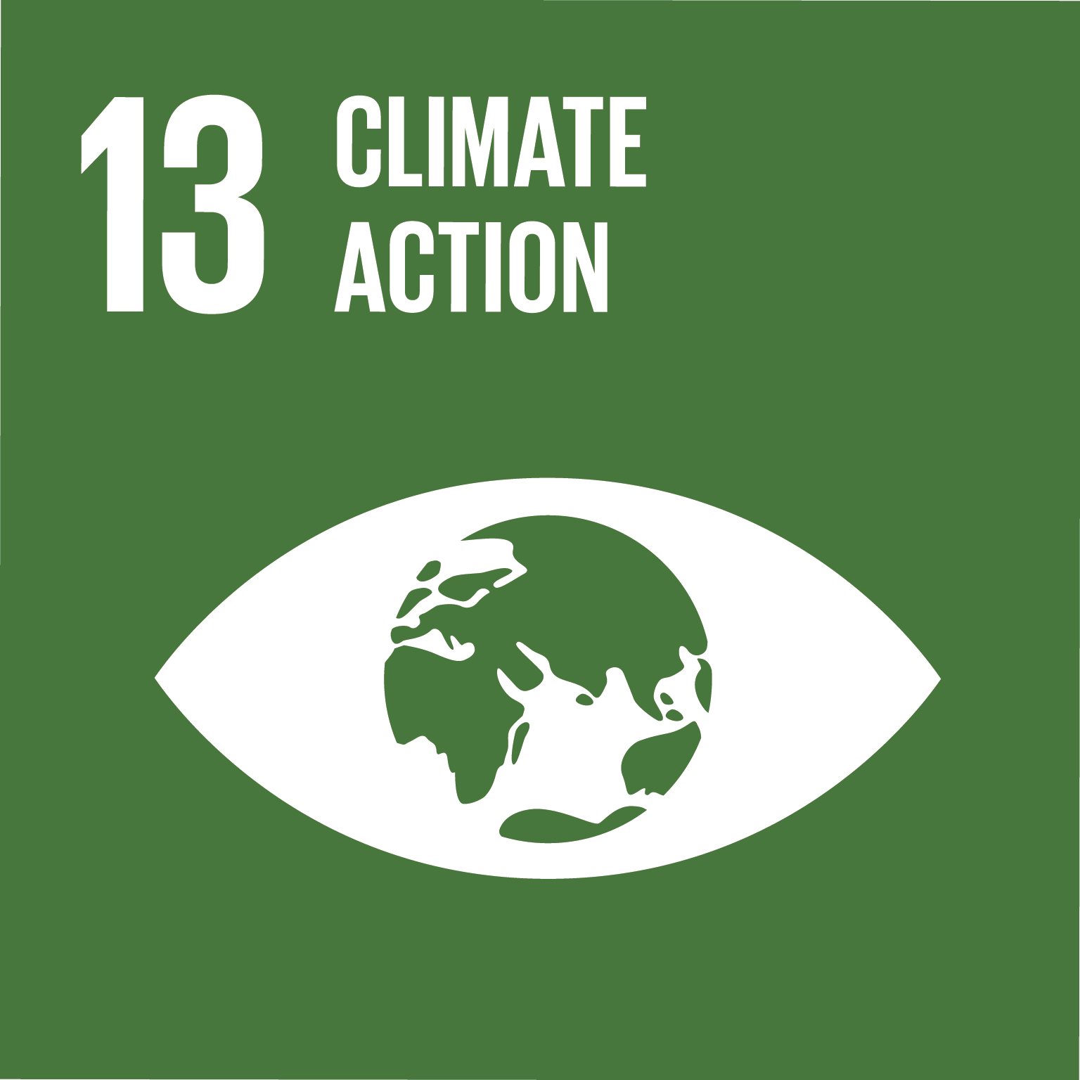 Representative image of SDG climate action 