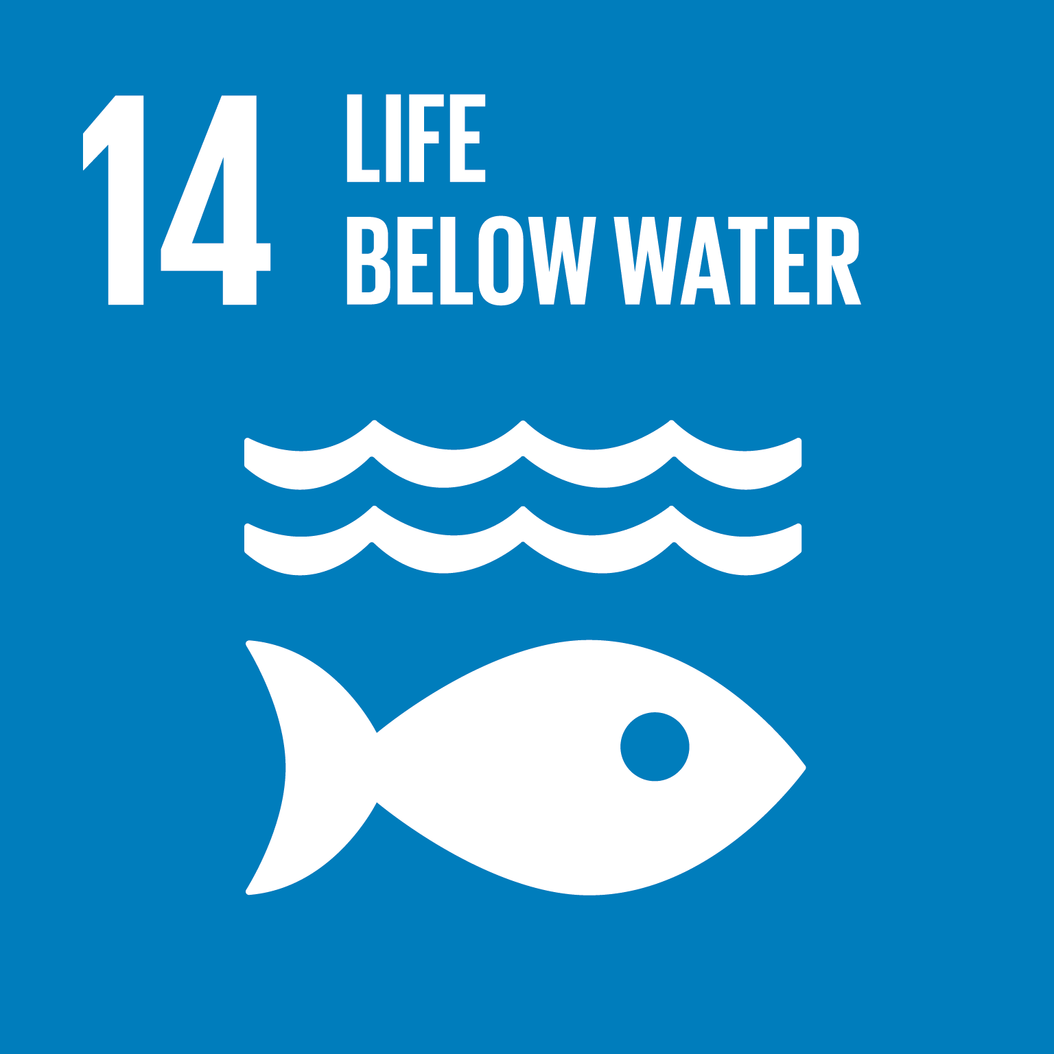 Representative image of SDG life below water