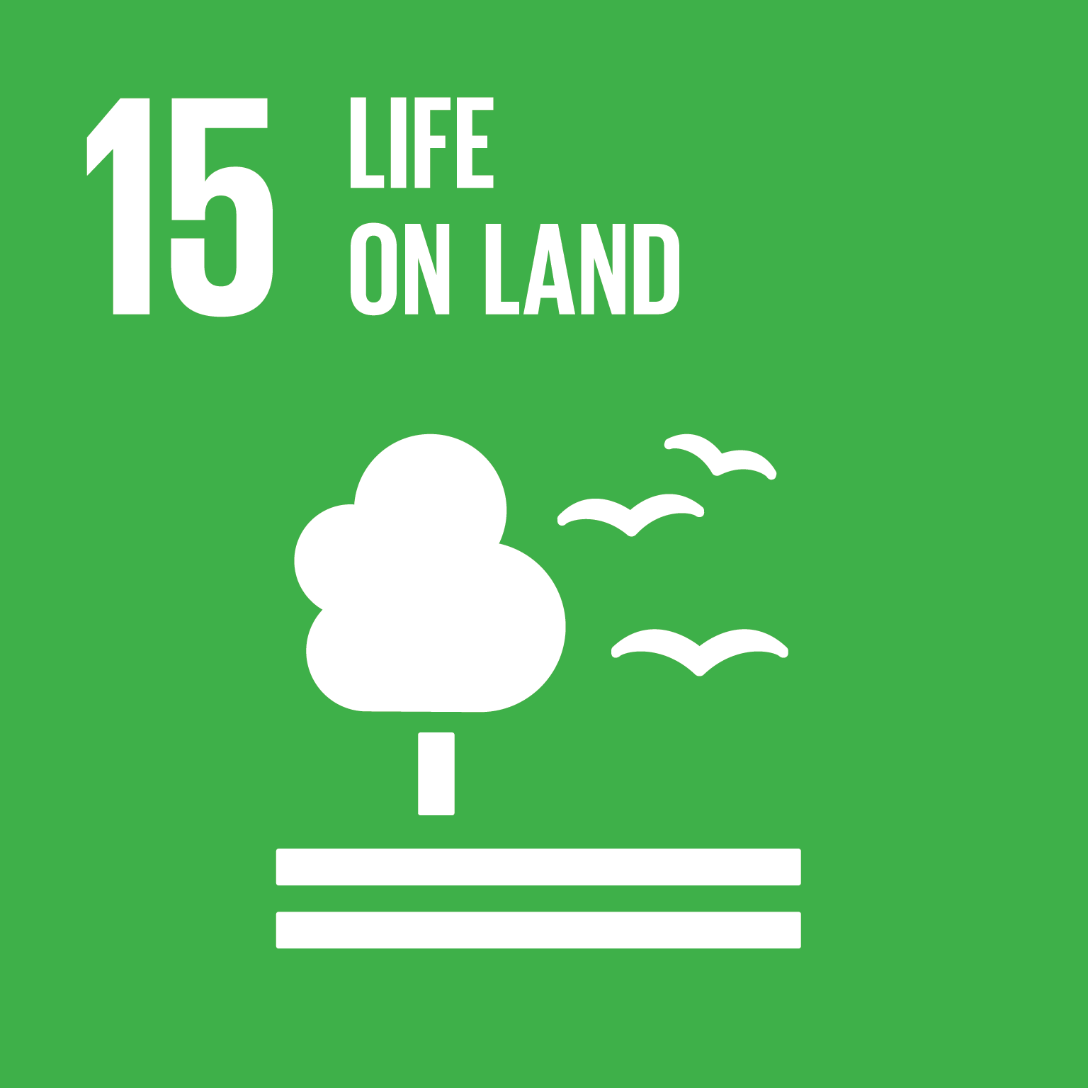 Representative image of SDG life on land