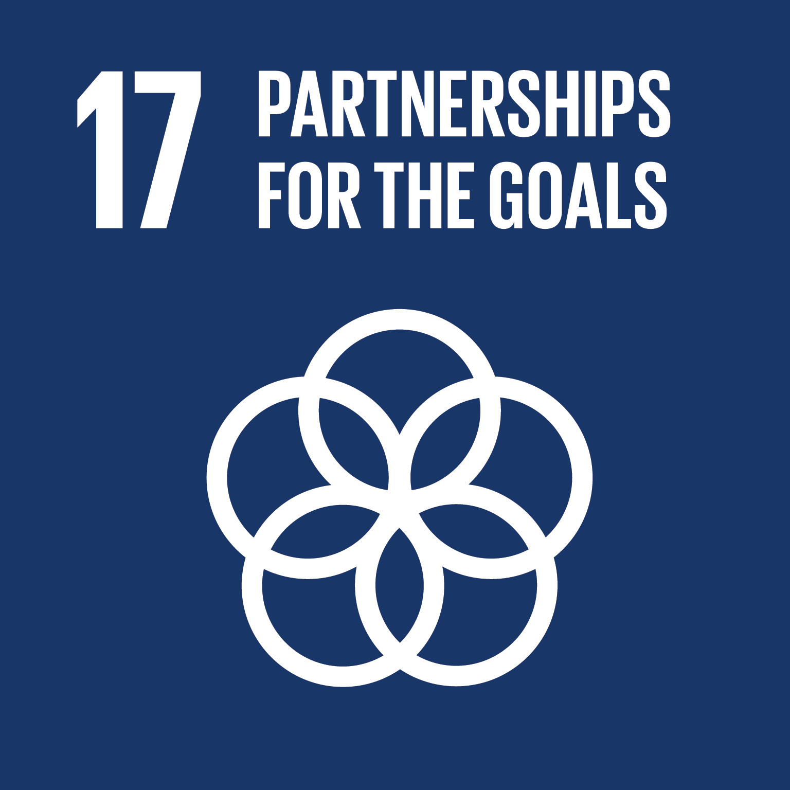 Representative image of SDG partnerships for the goals